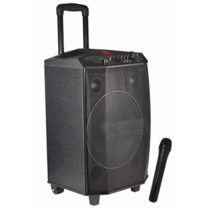 בידורית קריוקי Silver Line SLKB12 30RMS 12'' בידורית קריוקי Silver Line SLKB12 30RMS 12''