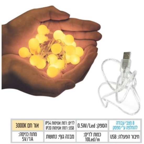 שרשרת לד 10 מטר 100 לד USB BUBBLE