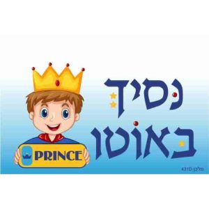 שלט נסיך באוטו