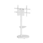 מעמד רצפתי + גלגלים עד 75" לבן AL-75 W