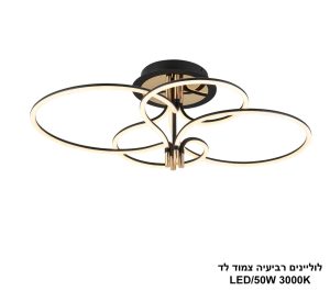 לוליינים רביעיה צמוד לד