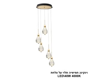 וינקינג חמישיה תלוי על צלחת