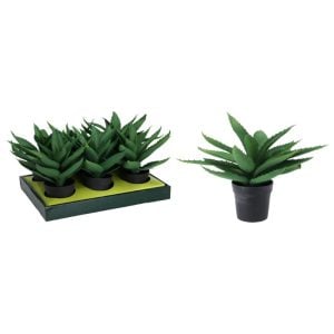 עציץ נוי עלים +בית עציץ שחור 22X22X30 ס"מ