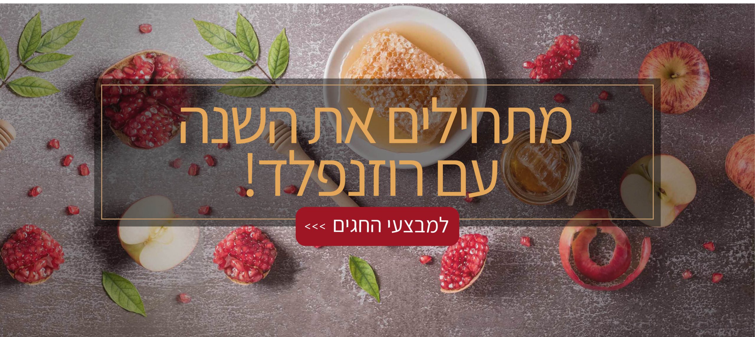 ייצוא באנרים4